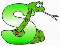 Serpent education